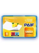 PAIF 000 PANNO UMIDO LAV. WET 22X42 X12