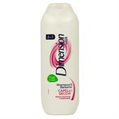 DIMENSION SHAMPOO 250 ML SECCHI 2IN1